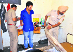 Police officials look for weapons during a surprise check at a PG accommodation at Sector 15 in Chandigarh on Saturday. Tribune Photo: S Chandan