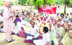 Members of the Forest Department Field Workers Union stage a dharna demanding release of their salaries outside the District Administrative Complex in Bathinda on Thursday.