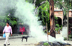 Dry leaves and garbage set on fire causing pollution right outside the Divisional Commisioners office in Jalandhar on Sunday