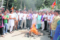 BJP workers burn an effigy of the Central Government in protest against the hike in fuel prices in Dehradun on Monday.