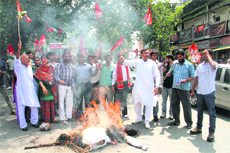 Samajwadi Party workers burn an effigy of the Central government against the increase in petrol price 