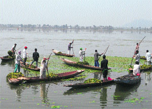 Workers of the Kashmirs Lakes and Waterways Authority collect weeds from the surface of the Dal Lake in Srinagar on Monday. 