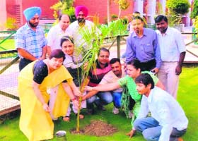 Administrative officials of Police DAV Public School plant saplings on its premises in Amritsar on Tuesday