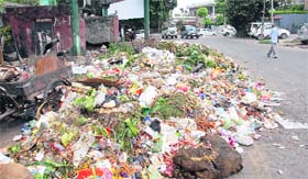 Garbage piles up on the roadside in the posh Model Town area in Jalandhar
