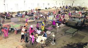 The displaced people in a relief camp at the Indoor Stadium in Muktsar on Tuesday. 