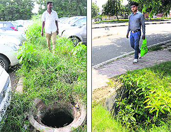 Open manholes concealed by wild growth put residents lives at risk in the parking lot outside Elante Mall in the Industrial Area; and (right) near the Sector 32 Fire Brigade office in Chandigarh