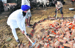 Senior Deputy Mayor Kamaljit Singh Bhatia digs out bricks during the kar sewa at Pinjara Pole Gaushala on the Tanda road in Jalandhar on Thursday. 