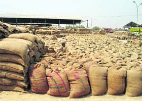 With the state having added a capacity of 33 lakh tonnes, foodgrain procured from the next rabi marketing season will be saved from rotting in unscientific storage spaces