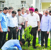 Prof MPS Ishar, Vice-Chancellor, JU, along with senior faculty members, scholars and students kick starts a plantation drive on the university campus on Friday.  