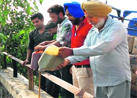 Health Department officials destroy the seized sauce in Amritsar on Saturday