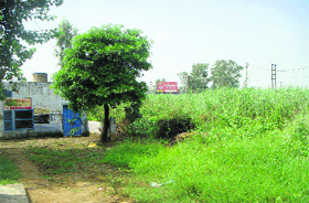 The blood bank at the Civil Hospital on the Samrala-Machhiwara road is a shambles. The hospital authorities have to send patients to the Civil Hospital in Khanna to arrange blood. Twelve posts of Class IV employees are lying vacant. SMO Narinder Kumar said they had sent a proposal to the authorities concerned to upgrade the hospital. Two posts of MLT are also lying vacant.