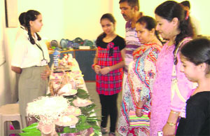 Visitors have a look at handmade models during a club show at Saupins School, Sector 70, Mohali. 