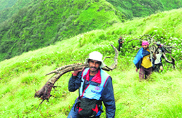 Police personnel collect firewood to cremate the bodies found in the higher reaches of Kedarnath on Tuesday. A Tribune photograph