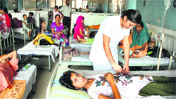 Patients suffering from cholera being treated at Civil Hospital in Jalandhar on Tuesday. Tribune Photo: Malkiat Singh