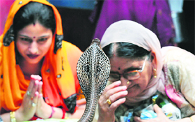 Devotees bow before a snake on Nag Panchami festival on Tuesday. Mela Patt is held in Jammu on Nag Panchmi each year to mark the historic meeting between Emperor Akbar and king Nagpal of Bhaderwah.