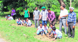 Children plant saplings during a plantation drive in Amritsar. 
