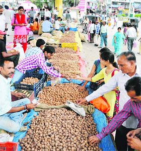 Vendors sell walnuts ahead of Sayar pooja, a traditional festival, at Seri Bazar in Mandi on Wednesday