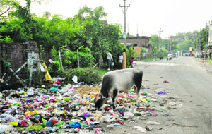 Heaps of garbage littered around the Channi Himmat area in Jammu on Wednesday. 