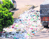 A garbage dump at the Nehru Shopping Complex on Lawrence Road in Amritsar. 