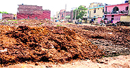 Cow dung dumped in an open space at Dhanas