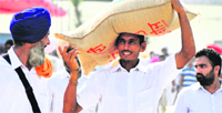 A farmer carries a bag of seeds during Kisan Mela on the PAU campus on Saturday. Tribune Photo: Himanshu Mahajan 