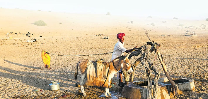 Wells in the desert often belong to different communities and castes. This well in Barmer district belongs to members of the Rajput caste. A woman hauls on a rope to raise water in a rubber pouch. Her husband then pours it into bags slung over their donkey