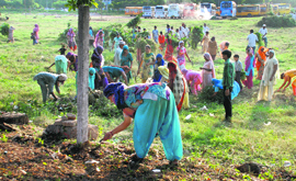 Followers of Gurmeet Ram Rahim clean a ground at Sector 5, in Panchkula on Sunday.