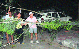 esidents of Sector 7 lift branches of trees that fell on parked cars during the dust storm in Chandigarh on Sunday evening.