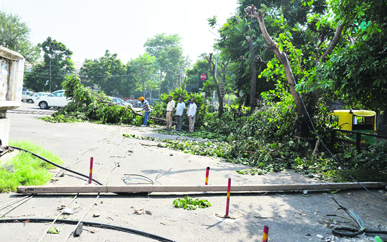 A day after the storm, an electricity pole and trees lie uprooted in the Feroze Gandhi market in Ludhiana on Monday.
