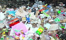 Garbage dumped at one of the panchayat areas in Palampur.