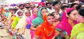 Devotees wait for their turn in a queue to pay obeisance at the Guga Mari shrine in Chhapar.