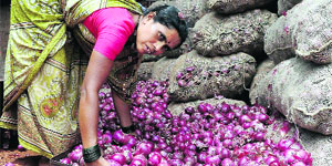 A woman sorts onions at a market in Hubli on Tuesday. 