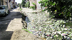 An uncovered stretch of the 14-feet-wide nullah in Sangrur