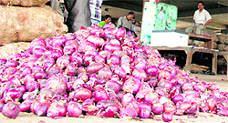 A shopkeeper sells onion at Sabzi Mandi in Amritsar