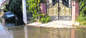 Stagnant sewerage water on the road in front of houses at Hargobind Nagar in Phagwara.