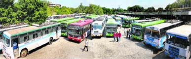 Buses parked at the Sector 17 ISBT following a strike by the CTU Workers' Union in Chandigarh on Friday.