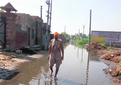 A resident wades through a flooded street in Haraj village in Muktsar on Friday. A Tribune photograph