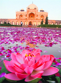 The Char Bagh around the tomb has also been cleared and provided clear water. PTI