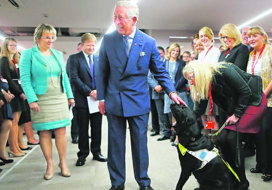 Britain's Prince Charles pats Laura Passey's guide dog Rosie, at the Prince's Trust new headquarters in London.