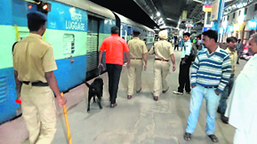 A dog squad at the Kalka railway station on Sunday.