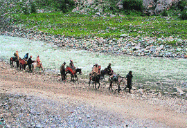 Nomads head for Sonamarg from the higher reaches of the Kashmir region.