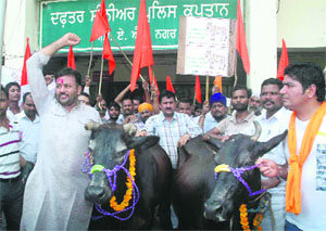 Members of the Bharatiya Hindu Suraksha Samiti stage a protest outside the office of the DC in Phase I, Mohali, on Monday. 