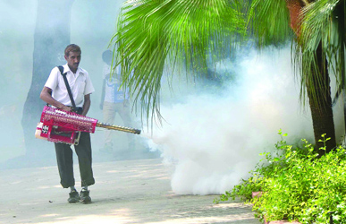 An MCD enployee carries out a fogging operation in the vicinity of BSZ Marg in New Delhi on Monday.