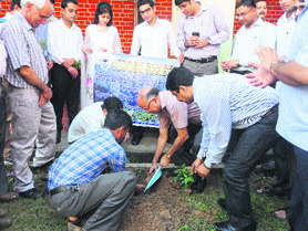 CUHP Pro Vice-Chancellor Yoginder Verma starts a tree plantation drive on the campus at Shahpur on Monday. 