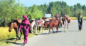 Kashmiri nomads travel with their livestock in south Kashmir on Monday.