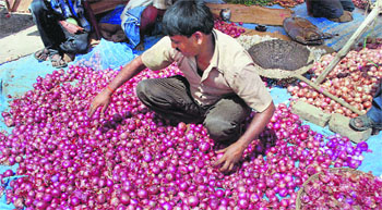 Anticipated cooling-off of vegetable prices following the arrival of fresh crops and a healthy kharif harvest will dampen food inflation