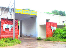 A view of Bhupindra Farm in Patiala. 