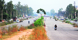 The national highway near the Jalandhar bypass where 800 trees were axed in 2010. 