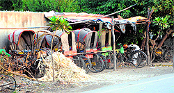 Encroachments have come up along the boundary wall of Bebe Nanki Mother and Child Care Centre at Guru Nanak Dev Hospital in Amritsar