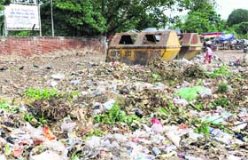 Garbage near the meat market
